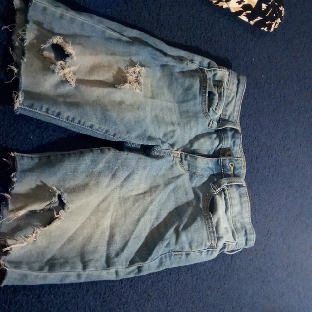 Arizona shorts